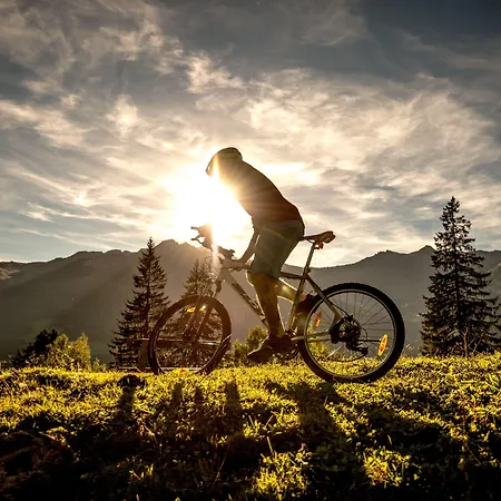 Hotel Oesterreichischer Hof-im Bademantel Direkt In Alpentherme 4*