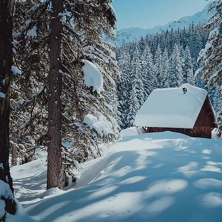 فندق Oesterreichischer Hof-im Bademantel Direkt In Alpentherme باد هوفغاستين