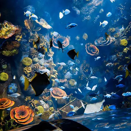 Oesterreichischer Hof-im Bademantel Direkt In Alpentherme 4* バート・ホーフガシュタイン