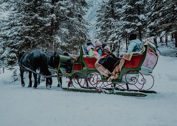Oesterreichischer Hof-im Bademantel Direkt In Alpentherme Bad Hofgastein