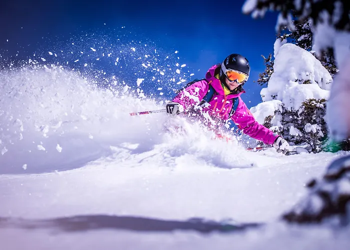 Oesterreichischer Hof-im Bademantel Direkt In Alpentherme Bad Hofgastein