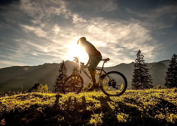 Hotel Oesterreichischer Hof-im Bademantel Direkt In Alpentherme 4*